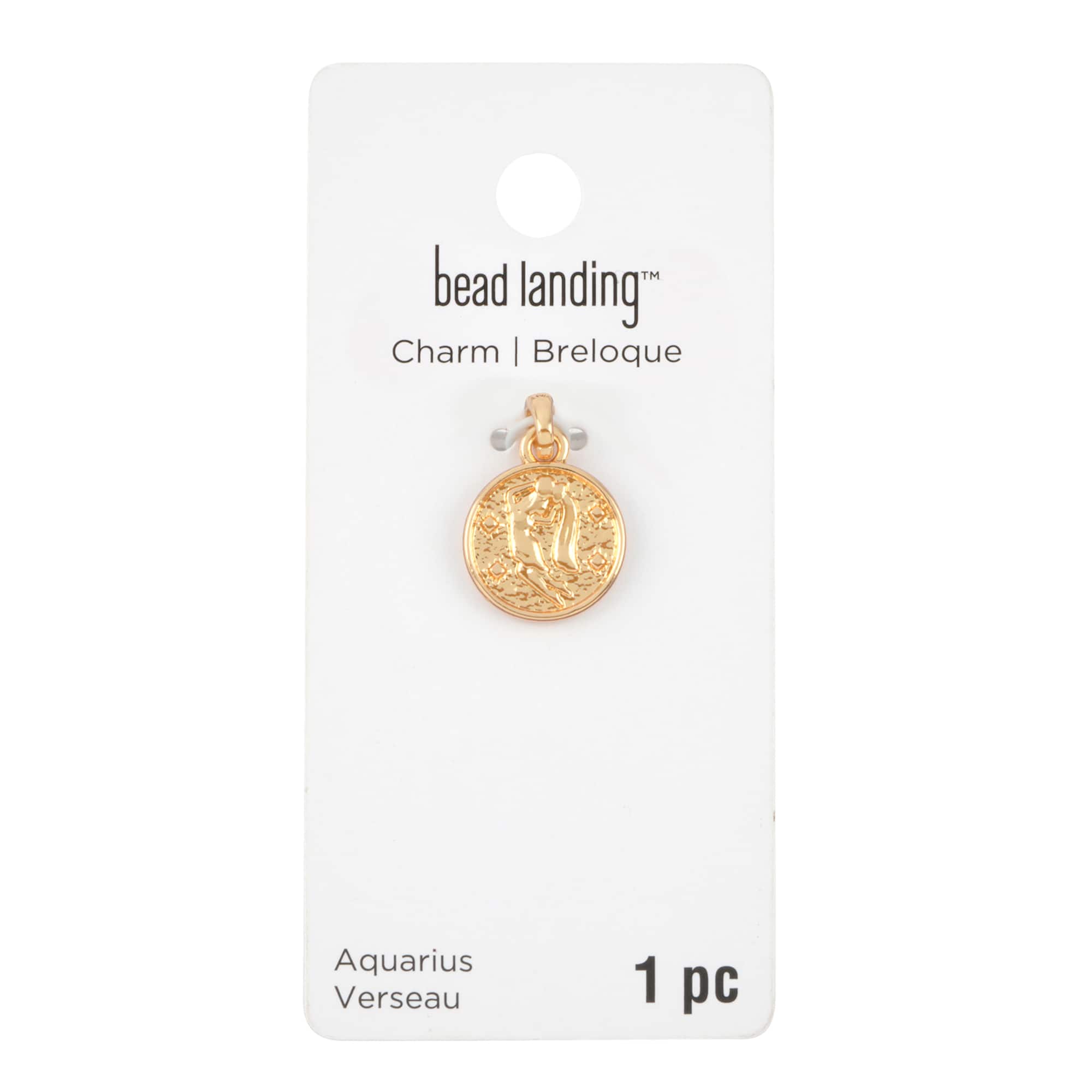 12 Pack: Metal Zodiac Coin Charm by Bead Landing
